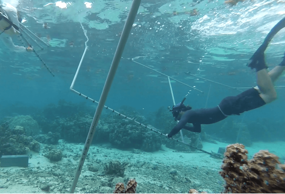 vlcsnap-2017-08-28-06h06m51s255