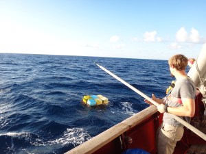 tommy boathooks yellow dock