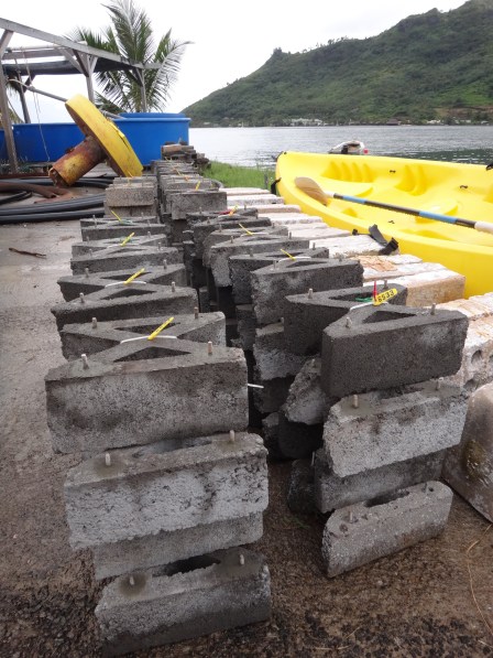 ???????????????????????????????